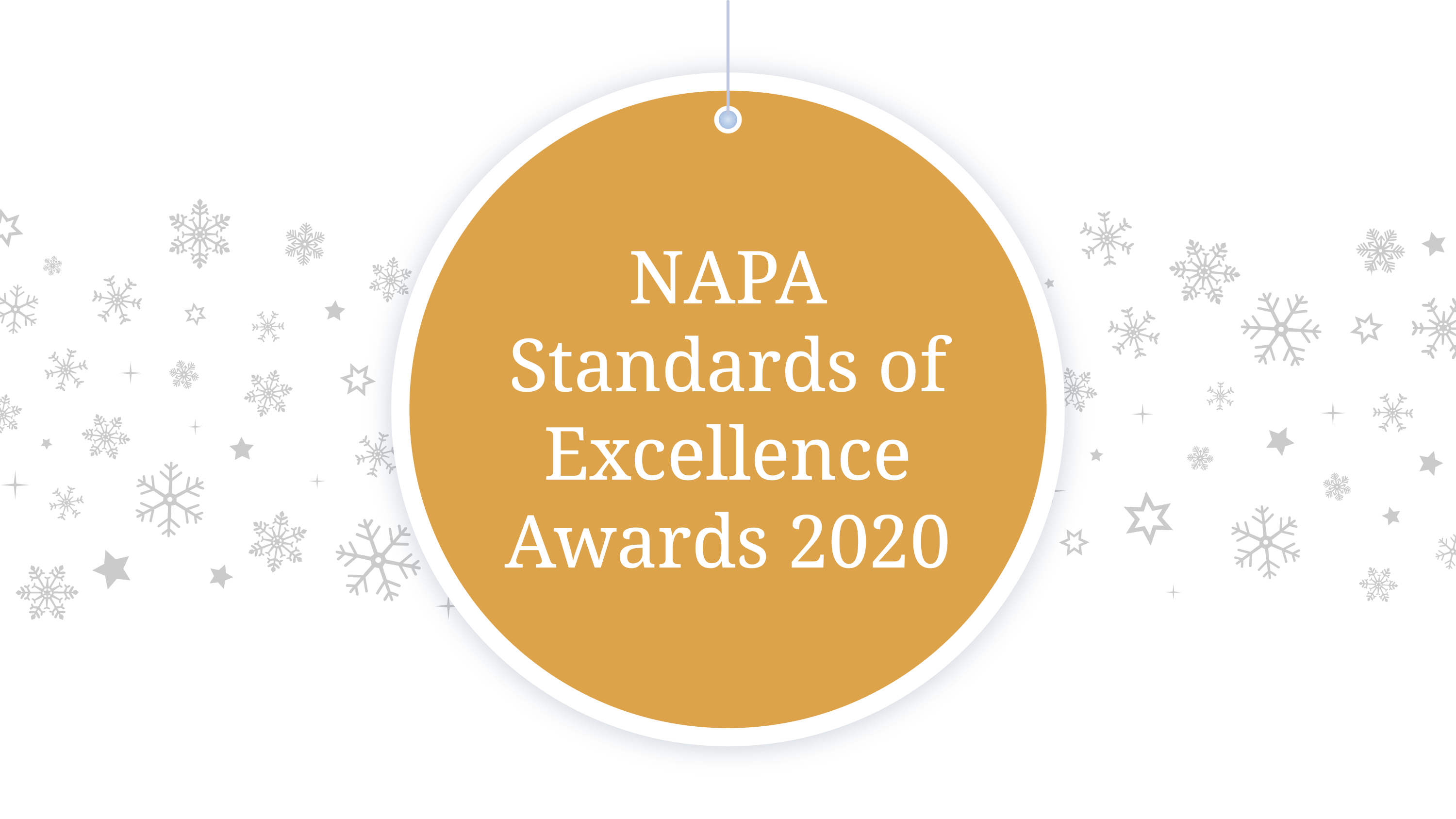 NAPA Standards of Excellence Awards 2020